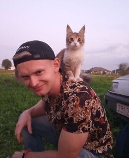 Алексей Васильков